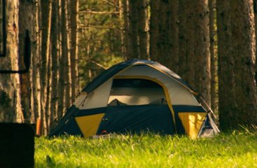 tent set up in a wooded area