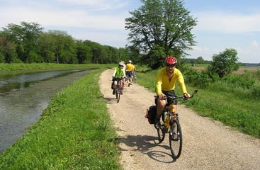 people biking on a trail