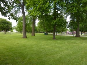 Wiley Park Disc Golf Course