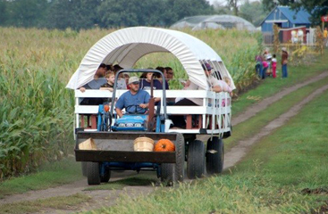 covered hay ride at Country Corner