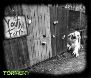 Torment at Twelve Hundred