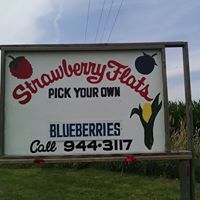 Strawberry Flats