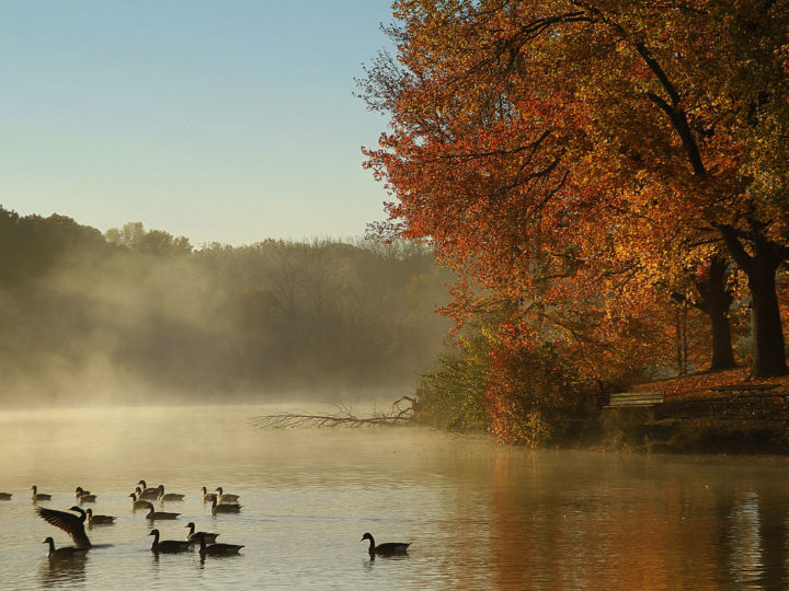 Spectacular Fall Activities