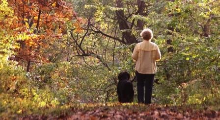 women and her dog walking down a trail in the fall at Johnson Sauk Trail State Park